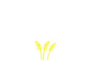 Green Island Mauritian Rum