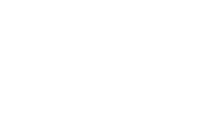 Landy_Logo