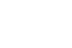 Pedro-Mandinga_Logo