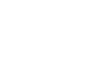 Premirum_Logo