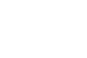 Tiki-Gold_Logo
