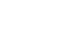 DeVin_Logo