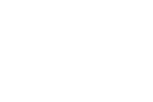 PALLINI_Logo