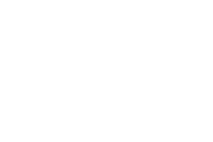 Platonico_Logo_300x200