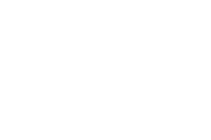 FeverTree_Logo_300x200